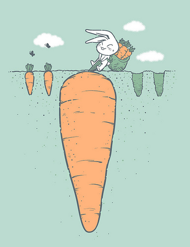 carrot