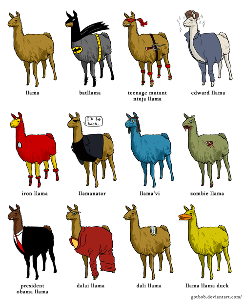 llama