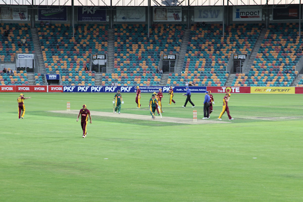 cricket