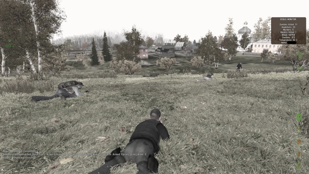 DayZ Field