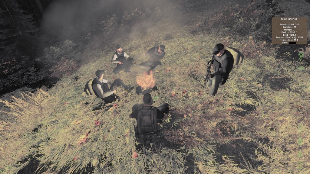 A nice campfire