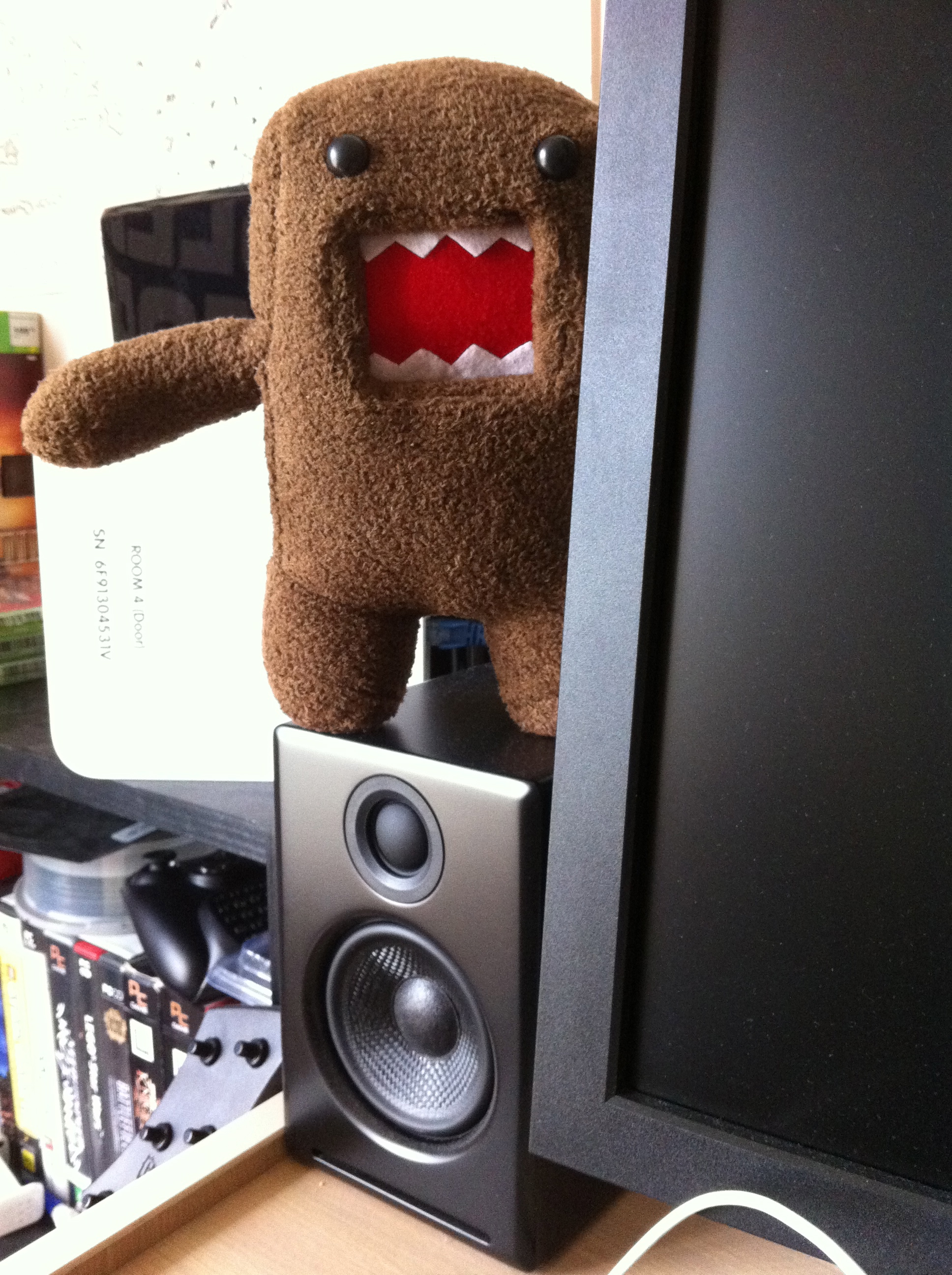 A slightly-overexposed photo of Domokun